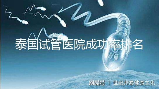 泰國試管醫(yī)院成功率排名公布，這些詳細(xì)介紹，為您提供選擇參考！