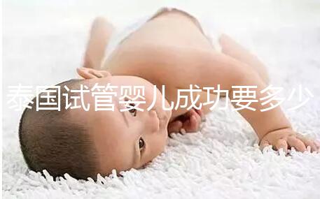 泰國試管嬰兒成功要多少錢？不成功怎么辦？