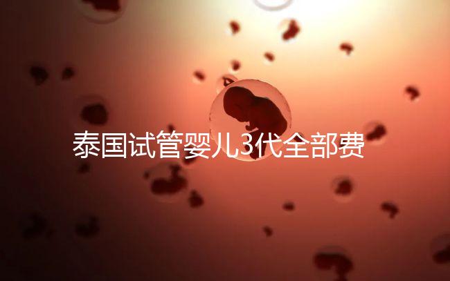 泰國試管嬰兒3代全部費用大概是多少？