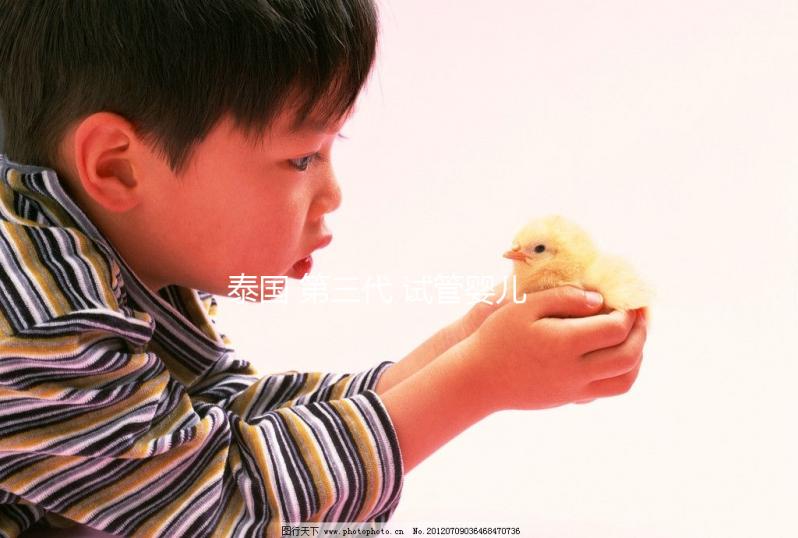 泰國(guó) 第三代 試管嬰兒（泰國(guó) 第三代 試管嬰兒費(fèi)用）