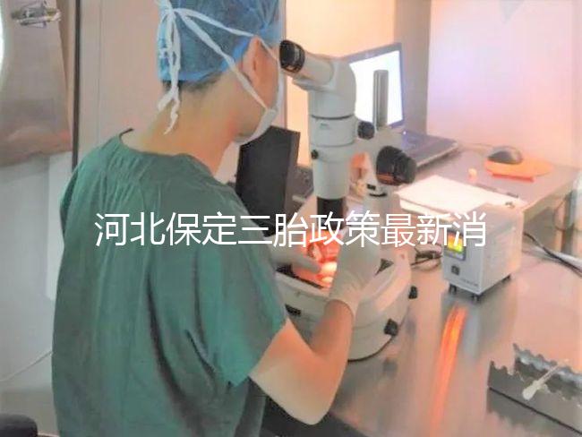 河北保定三胎政策最新消息2024，不造補(bǔ)貼怎么申請(qǐng)看過(guò)來(lái)