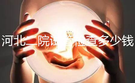 河北二院試管檢查多少錢公布，項目不同價格自然有所差異