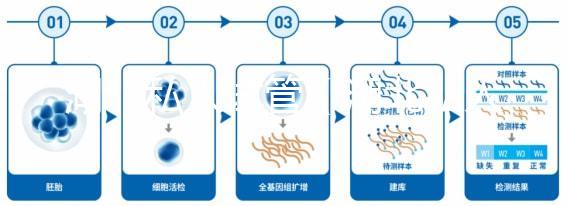 湖北私人試管(湖北私人試管醫院排名)