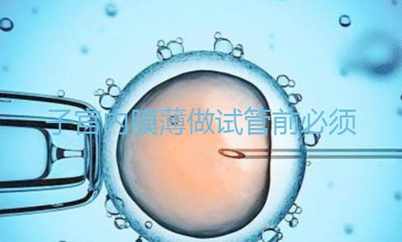 子宮內膜薄做試管前必須先調理好，調理方法在這里自取！