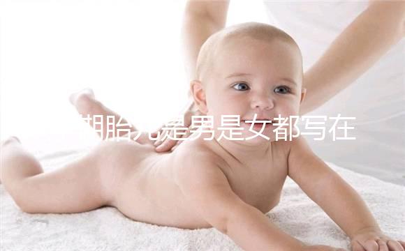 孕期胎兒是男是女都寫在B超單上，或真能一眼看出來