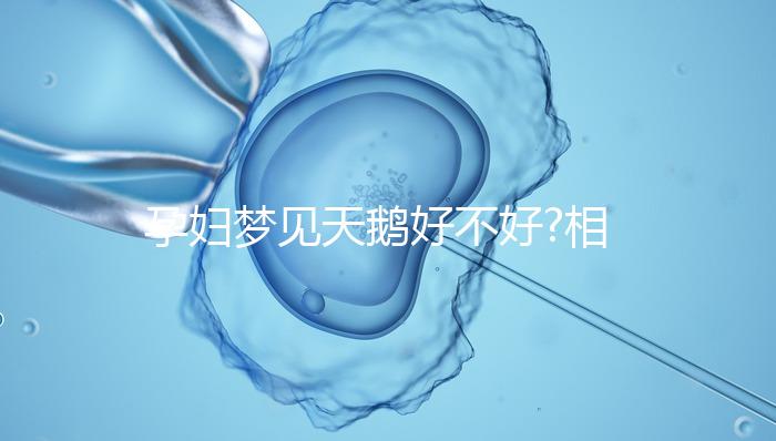 孕婦夢(mèng)見(jiàn)天鵝好不好?相關(guān)的解讀大全都在這了