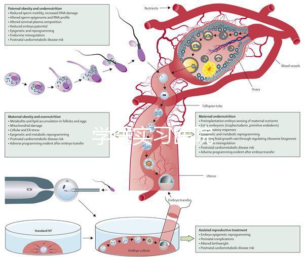學(xué)醫(yī)實習(xí)醫(yī)院