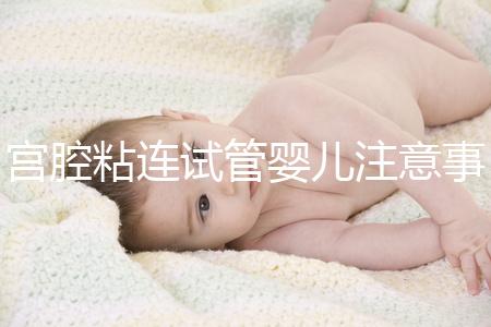 宮腔粘連試管嬰兒注意事項(xiàng)分析,讓好孕變得更容易