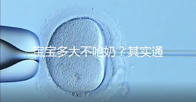 寶寶多大不嗆奶？其實通常到了足夠的月份就不會嗆奶了