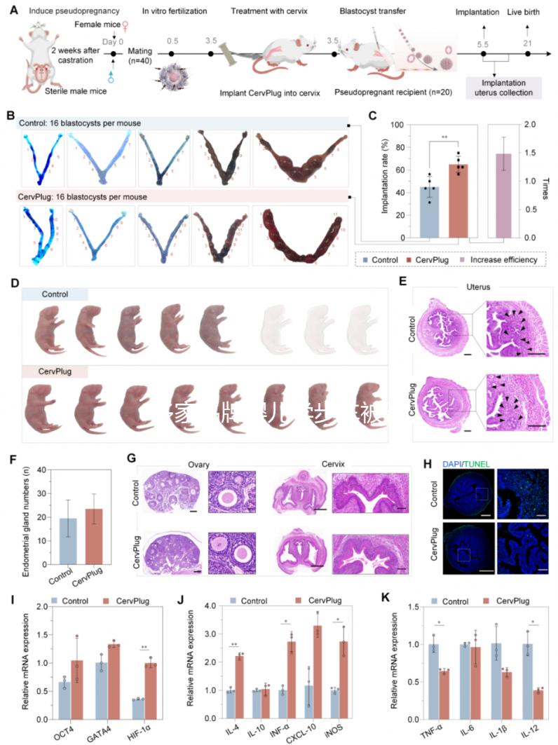 多家品牌嬰兒學步車被召回，過早使用危害真不小