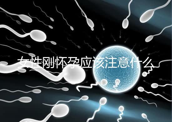 女性剛懷孕應該注意什么？