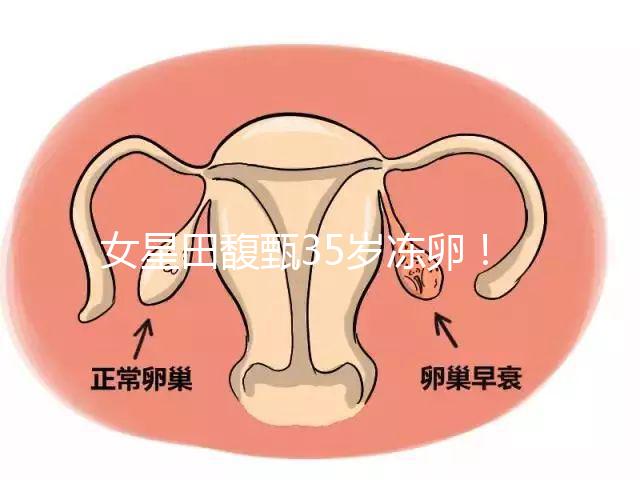 女星田馥甄35歲凍卵！揭秘你不知道的明星凍卵過(guò)程