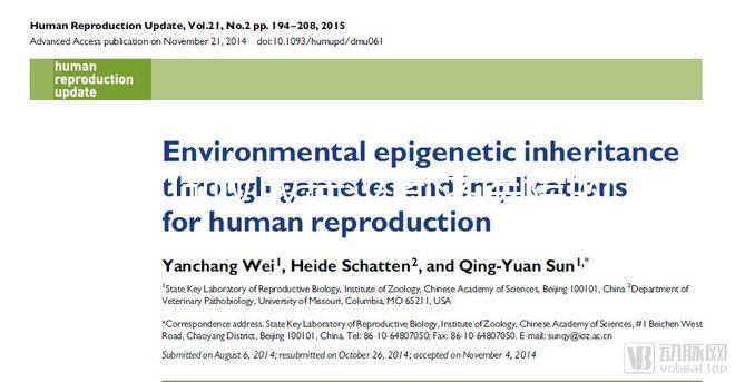 如何收取武漢同濟醫院的養囊費？查看最新試管費用明細估算？
