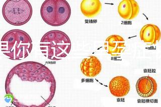 如果你有這些早孕癥狀，那恭喜試管嬰兒成功懷上啦