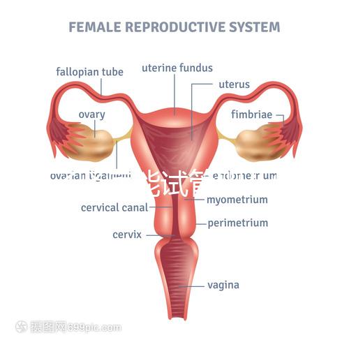 得了腎病能試管嬰兒懷孕嗎？哪些腎臟病不適宜懷孕？