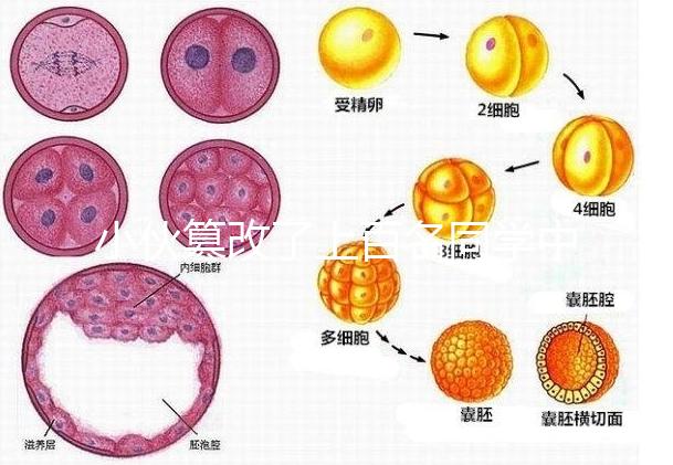 小伙篡改了上百名同學中考志愿，這些預防知識多么重要！