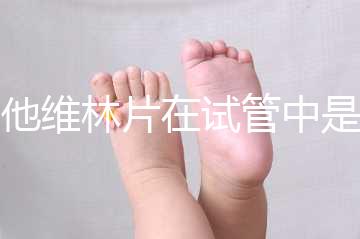 屈他維林片在試管中是否有副作用,導致胎停不是空穴來風