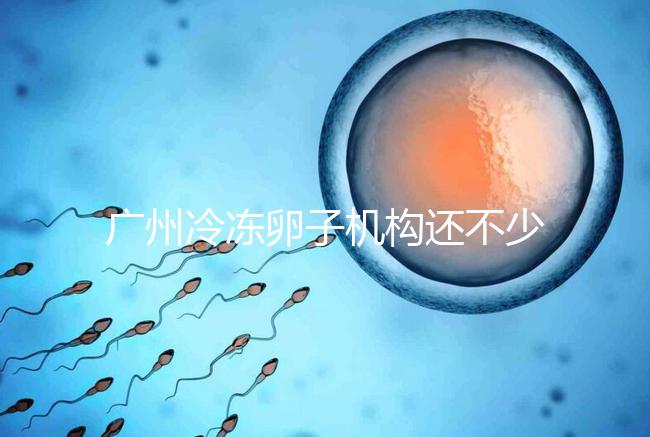 廣州冷凍卵子機構還不少，但國內凍卵這些條件你達成了嗎？