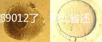 都9012了，河北省還沒三代試管嬰兒醫(yī)院，看看姐妹怎么說