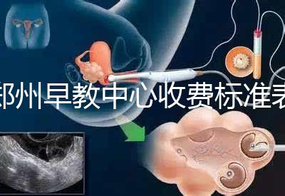 鄭州早教中心收費標準表2024年，不同項目價格不同