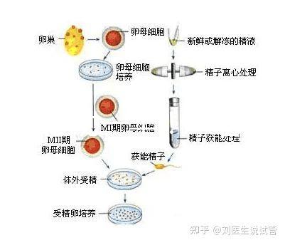 選對成功一半！來看看海南哪家醫(yī)院能做三代試管嬰兒