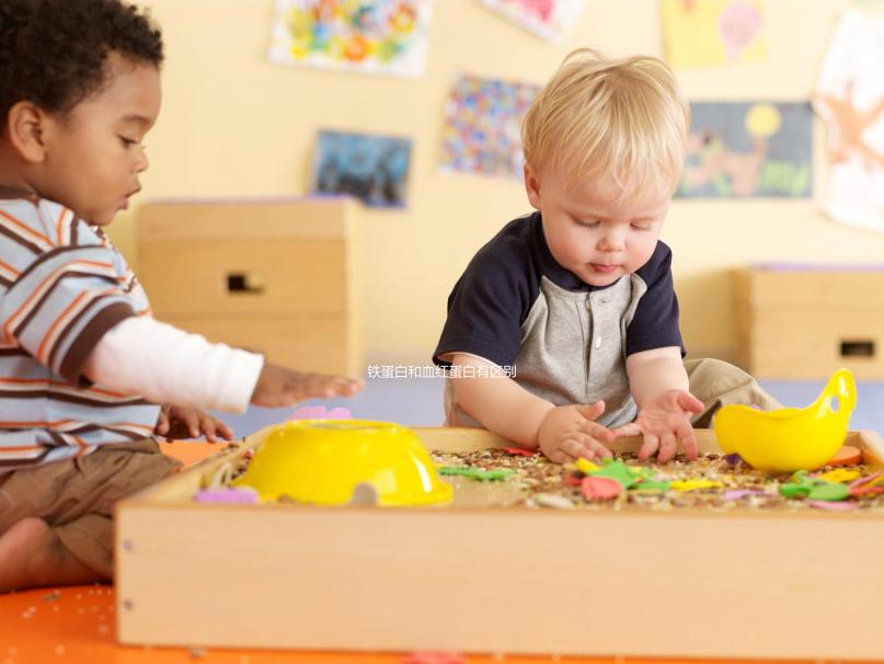 鐵蛋白和血紅蛋白有區別!通過這2點可詳細區分