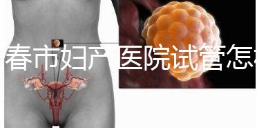 長春市婦產(chǎn)醫(yī)院試管怎樣問題解答,助孕成功率、費用可作參考