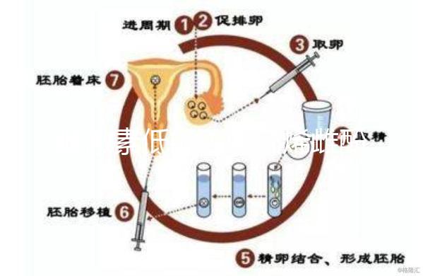 雌激素低能否吃乙烯雌酚?2大作用解析,7種用途分享