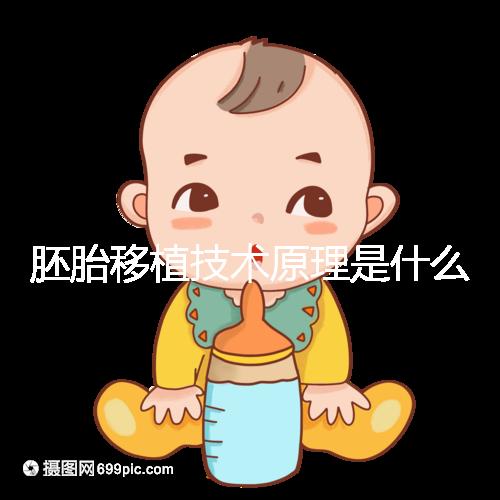 胚胎移植技術(shù)原理是什么？