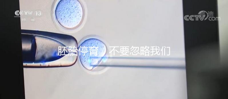 胚胎停育，不要忽略我們身邊的“隱形殺手”