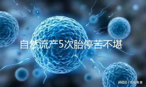 自然流產5次胎?？嗖豢把?， 試管嬰兒助孕一朝分娩喜之不盡！