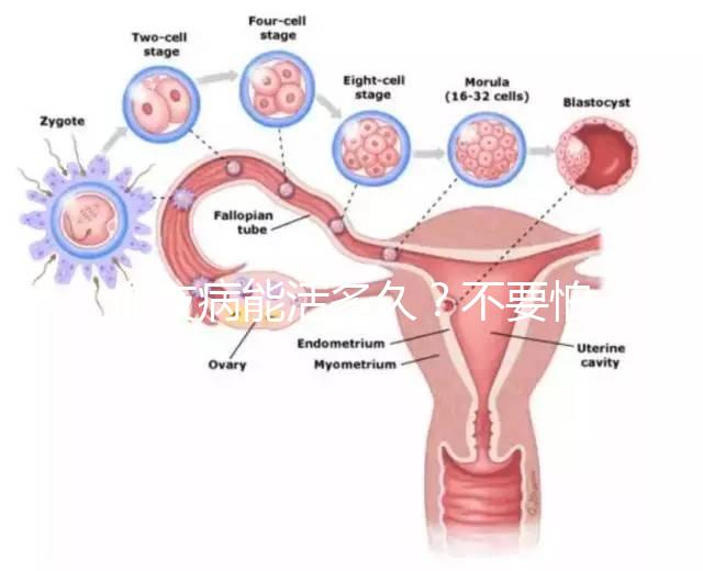 血友病能活多久？不要怕!注意這些同常人無異