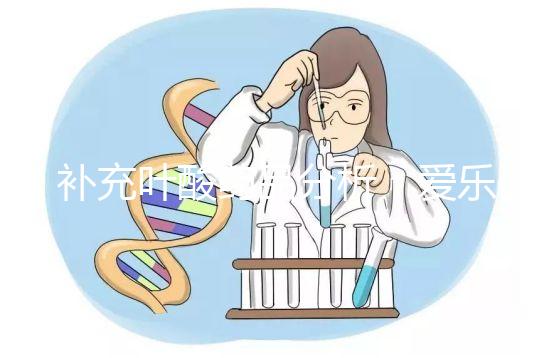 補(bǔ)充葉酸藥品分析：愛樂(lè)維和斯利安哪個(gè)孕期更需？