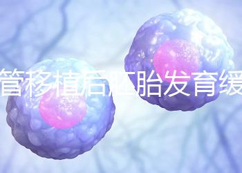 試管移植后胚胎發育緩慢，甚至胎停咋回事？3大高危因素要規避