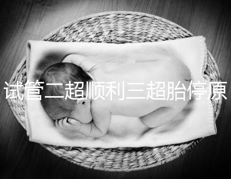 試管二超順利三超胎停原因分析，多半和保胎藥停早了有關