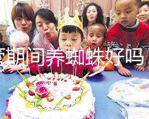 試管期間養(yǎng)蜘蛛好嗎？人們告訴你，這些影響應(yīng)該早知道