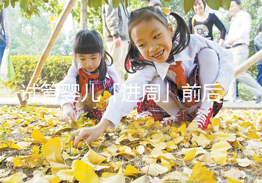 試管嬰兒「進(jìn)周」前后，這些問題請知曉！