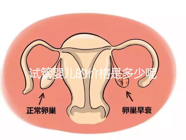 試管嬰兒的價格是多少呢？