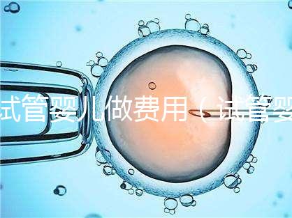 試管嬰兒做費用(試管嬰兒做費用多少)