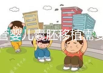 試管嬰兒囊胚移植需要滿足什么條件？