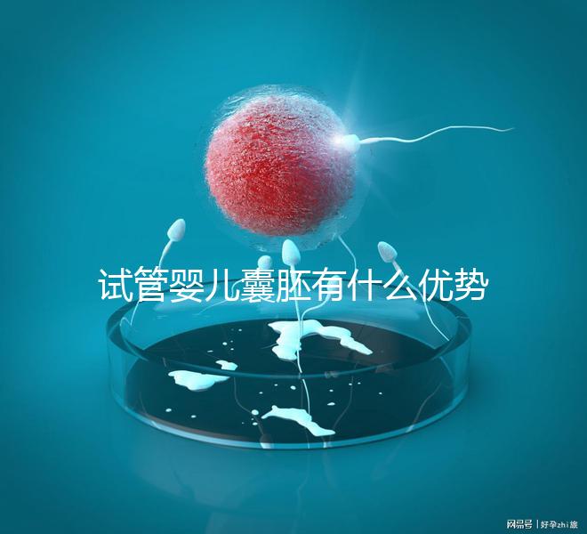 試管嬰兒囊胚有什么優(yōu)勢(shì)嗎？