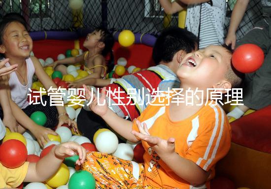 試管嬰兒性別選擇的原理與方法解析