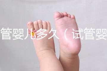 試管嬰兒多久（試管嬰兒多久能測出來懷孕）