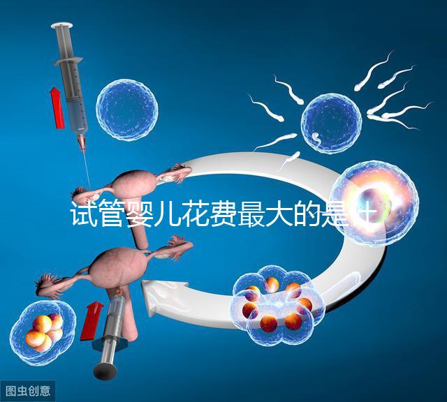 試管嬰兒花費(fèi)最大的是什么?