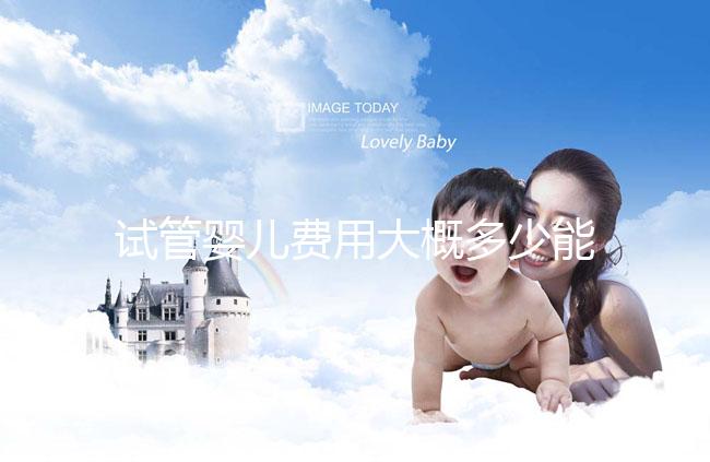 試管嬰兒費(fèi)用大概多少能出來(lái)(試管嬰兒費(fèi)用大概多少能出來(lái)報(bào)銷(xiāo))