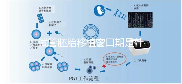 試管胚胎移植窗口期是什么？如何選對時機(jī)？