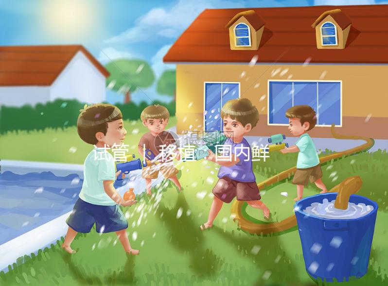 試管 | 移植:國內(nèi)鮮胚和國外囊胚的區(qū)別