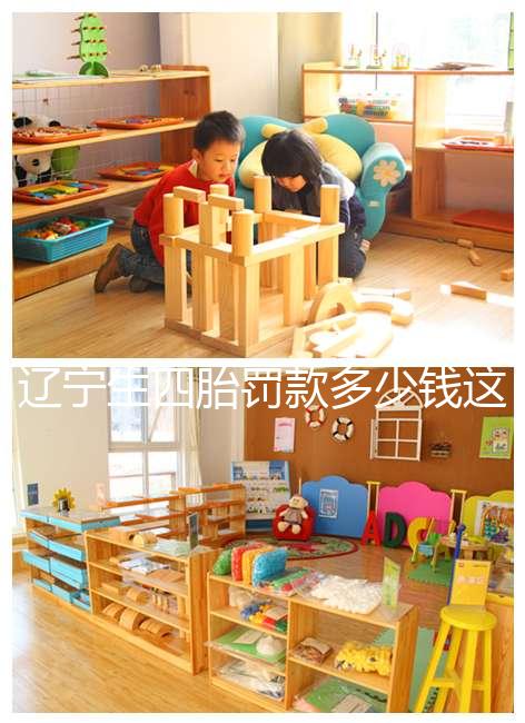 遼寧生四胎罰款多少錢這個介紹,給不給戶口一目了然