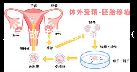 赴美做試管嬰兒前，教你如何攻破最難的“醫療簽證”！