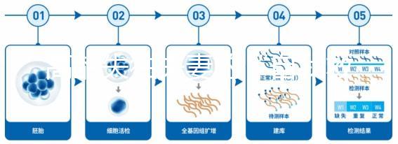 高齡失獨(dú)夫妻的“自我救贖”，為什么大都會選擇做試管嬰兒？